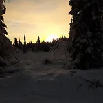 Sonja *