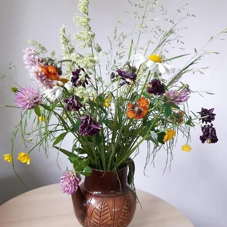 Sonja Holiday home Altenberg