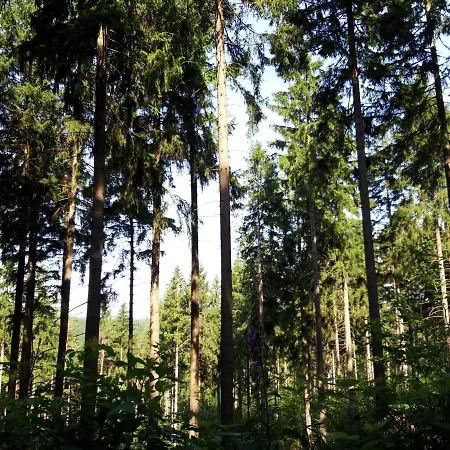 Vakantiehuis Sonja *