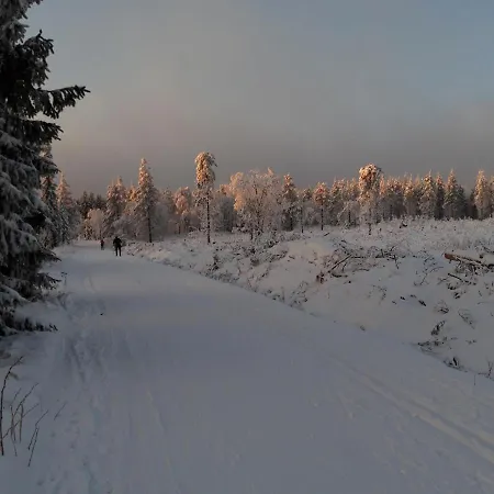 Sonja Holiday home