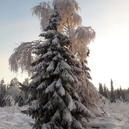 Sonja Holiday home *