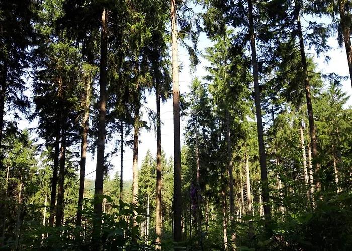 Vakantiehuis Sonja *