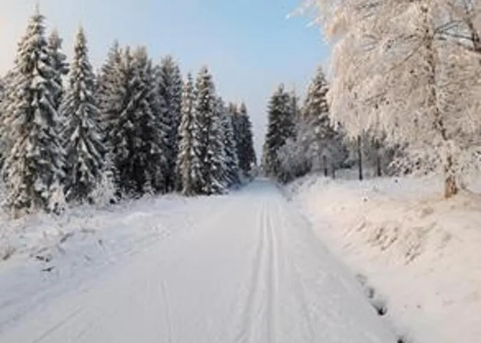 Σπίτι διακοπών Sonja Altenberg (Erzgebirge)